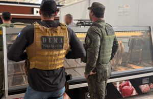 Polícia prende 2 e apreende 3 toneladas de pescado no Porto
