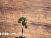 PL ambiental: entenda os vetos de Lula e a negociação com o Congresso