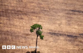 PL ambiental: entenda os vetos de Lula e a negociação com o Congresso