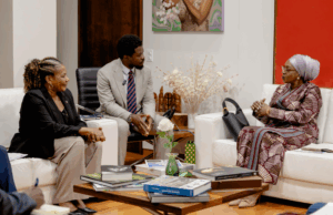 Brasil e República Democrática do Congo fortalecem laços em cooperação cultural — Ministério da Cultura