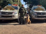 Gefron intercepta ônibus para pacientes com 50 quilos de cocaína