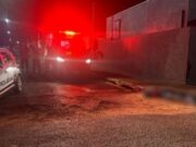 Homem é atraído para emboscada e morto com ao menos 8 tiros