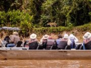 Governo de MT estuda modelo de safári na África do Sul para fortalecer Pantanal
