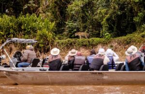 Governo de MT estuda modelo de safári na África do Sul para fortalecer Pantanal