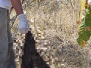 Polícia diz que análise de ossada revela indícios de tortura