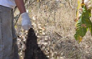 Polícia diz que análise de ossada revela indícios de tortura