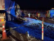 Politec identifica as 11 vítimas de acidente entre ônibus e carreta