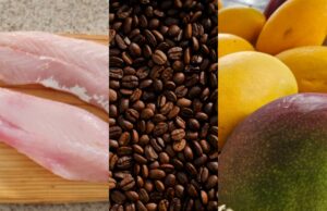 Tarifaço: g1 lista desafios para direcionar produtos dos EUA a outros países