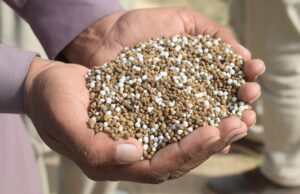 Negócios com a Rússia deixam Brasil na mira e vulnerável a mais taxas