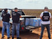 Polícia prende suspeito em flagrante com 240 tabletes de maconha