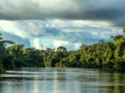 Governo de MT faz parceria com O.N.E. Amazon para investimento em projetos sustentáveis