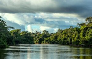 Governo de MT faz parceria com O.N.E. Amazon para investimento em projetos sustentáveis