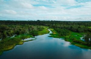 Governo facilita licença ambiental especial, após Congresso ameaçar derrubar vetos de Lula