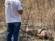 Corpo com mãos amarradas é encontrado no Contorno Leste