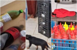 Polícia fecha casa onde lanches eram preparados junto com cães