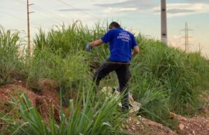 Corpo com marcas de tortura é encontrado na Rodovia dos Imigrantes