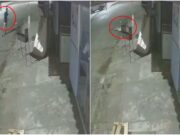 Faccionado é preso após matar “colega” a facadas em MT; vídeo