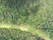 Governo tenta evitar derrota em licenciamento ambiental perto da COP