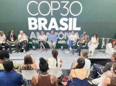 ministra enfatiza o papel das artes e da cultura no enfrentamento das mudanças climáticas — Ministério da Cultura