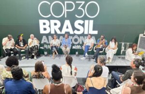 ministra enfatiza o papel das artes e da cultura no enfrentamento das mudanças climáticas — Ministério da Cultura