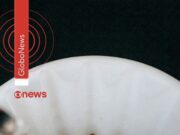 EUA reduzem tarifa para café, carne, banana e açaí, entre outros itens