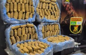 Polícia prende casal com “carregamento” de supermaconha em VG