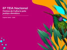 Divulgado cronograma das etapas preparatórias da 6ª Teia Nacional dos Pontos de Cultura — Ministério da Cultura