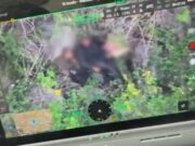 Tiroteio na mata e socorro a ferido: câmeras corporais mostram megaoperação no RJ