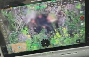 Tiroteio na mata e socorro a ferido: câmeras corporais mostram megaoperação no RJ