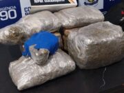 PM apreende dez quilos de supermaconha e prende homem