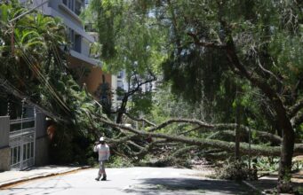 Enel em SP dá prazo de mais 24h para normalizar fornecimento de energia