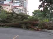 Grande SP amanhece com mais de 1,5 mi de imóveis sem luz após ventania