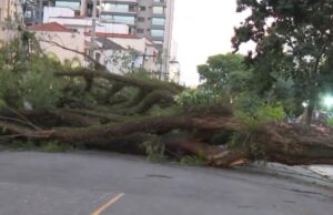 Grande SP amanhece com mais de 1,5 mi de imóveis sem luz após ventania